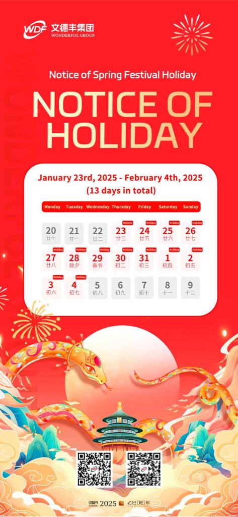 Festività del Capodanno cinese 2025