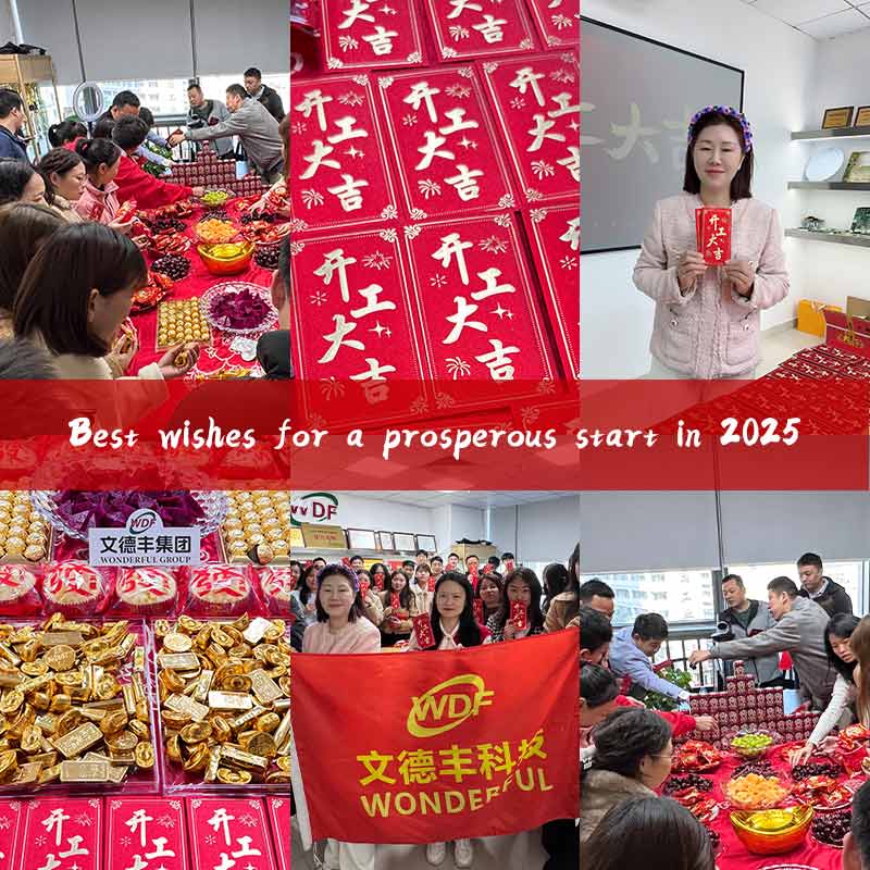 best wishes for a prosperous start in 2025